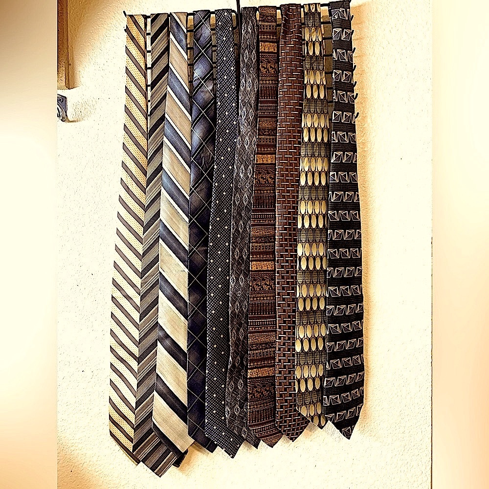 Bundle Men’s Ties (10)